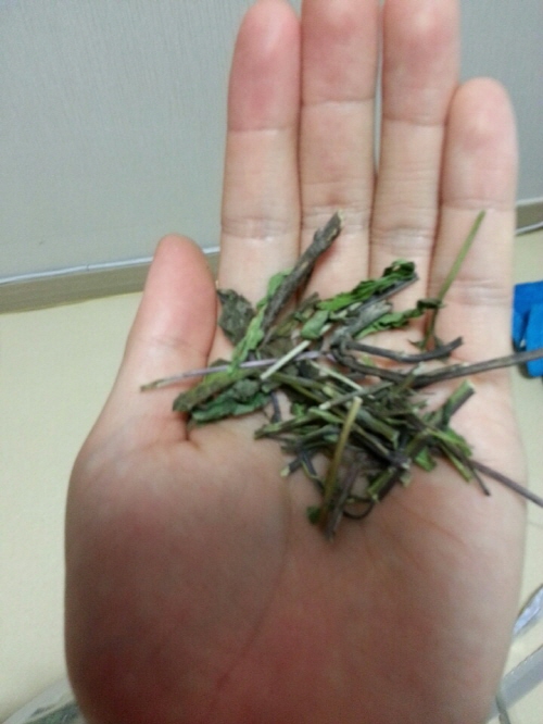 크기변환_KakaoTalk_20160216_175608518.jpg