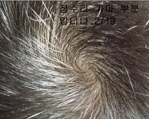 가마 (1).jpg