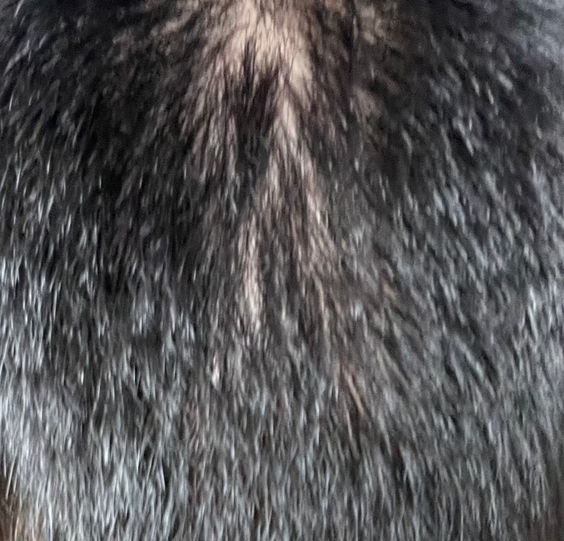 1B58DED4-2328-496F-AA6A-B9C19441720E.jpeg