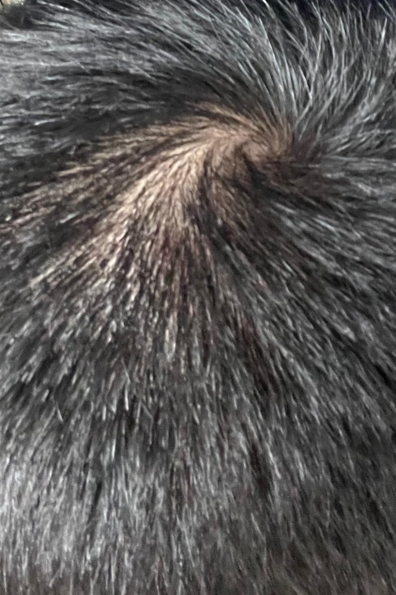ADA7AE5F-FD2C-4480-82E8-F6A5399B54C0.jpeg
