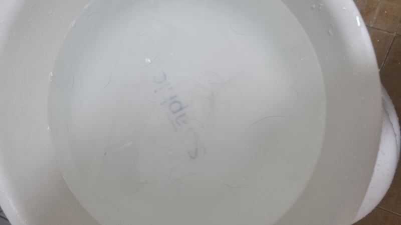 20230905_204403.jpg