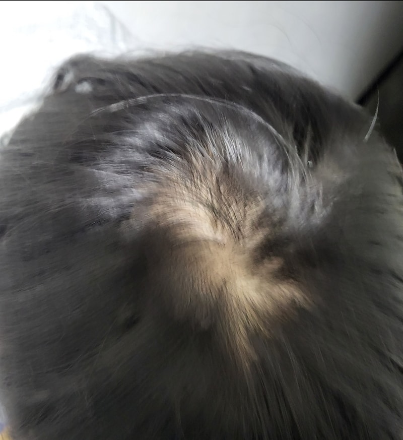 Screenshot_20221227-075140_Gallery.jpg