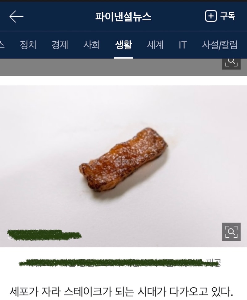396736F9-0284-45D2-88AD-E0BF4693A373.jpeg