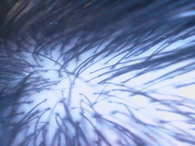 2024-0313-2224190900.jpg