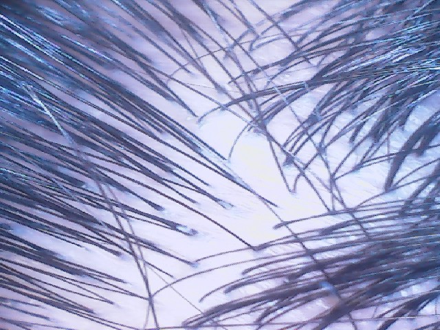2024-0313-2221450900.jpg