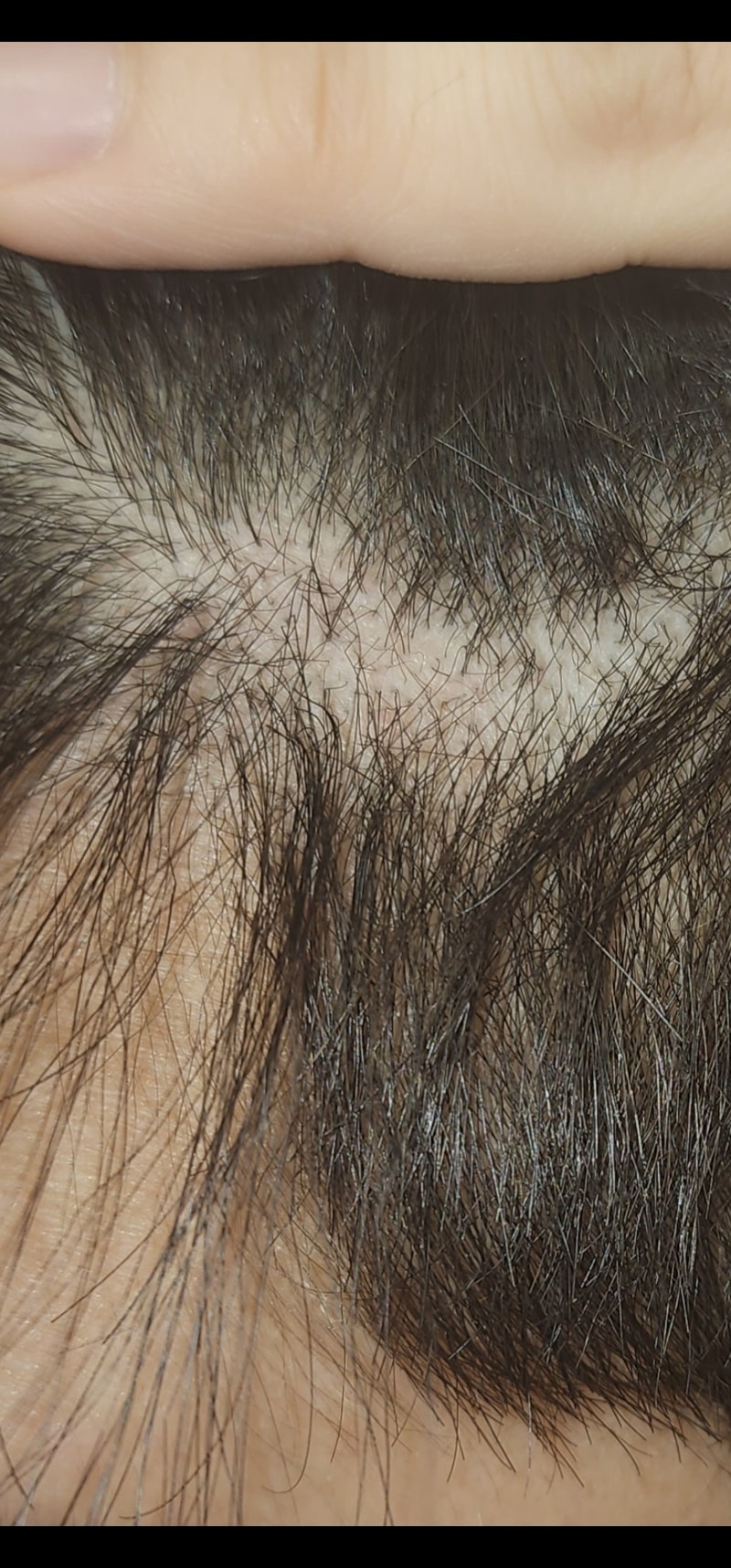 1000020102.jpg