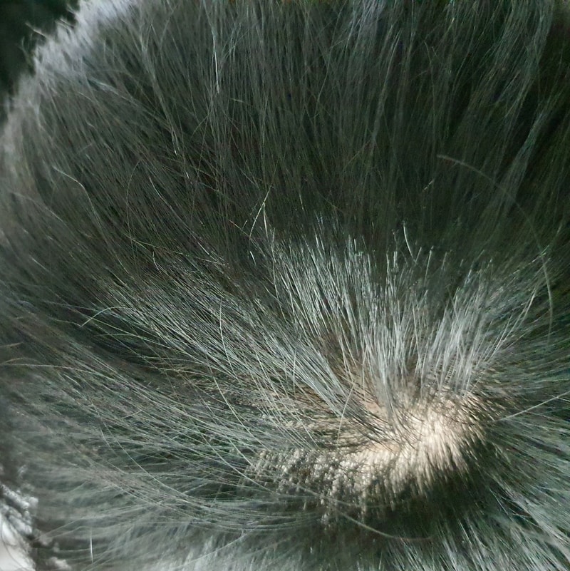 20221018_192553.jpg