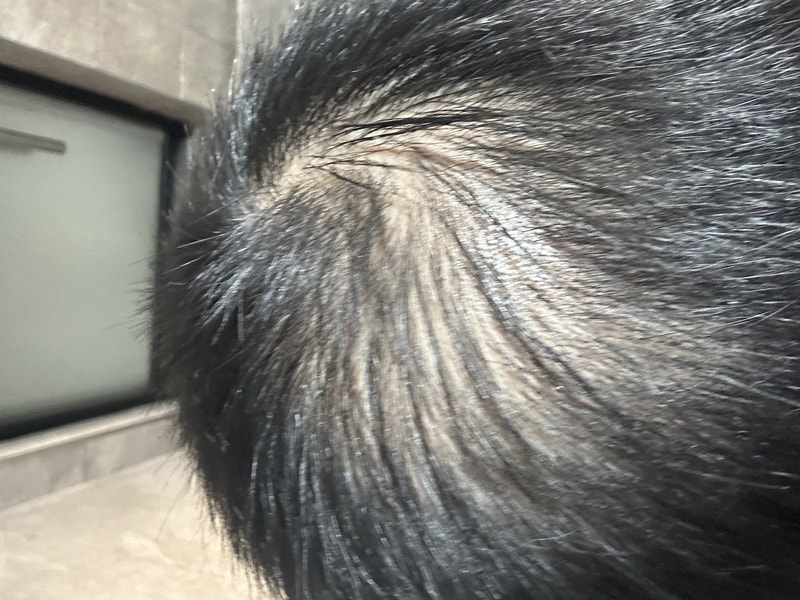 D7D9AC70-1151-4480-A591-40AB4D036E07.jpeg
