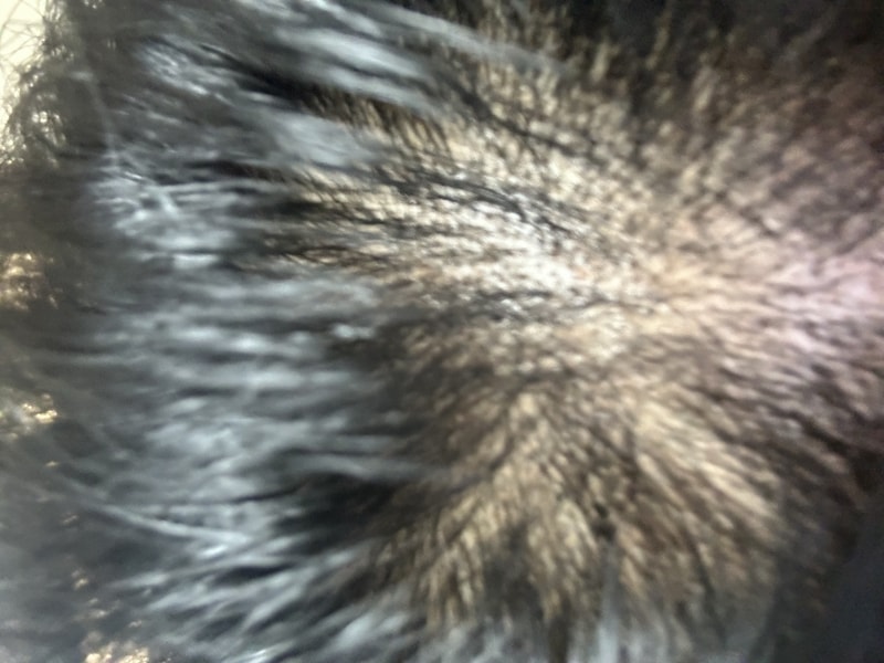 IMG_2826.jpeg