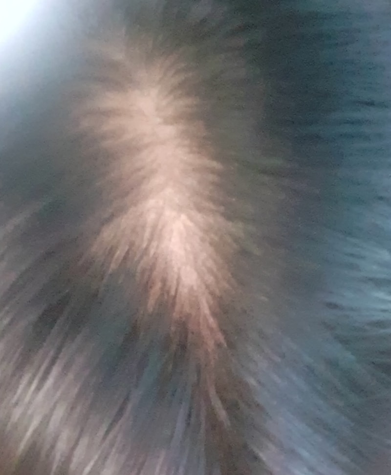 20240216_163113.jpg