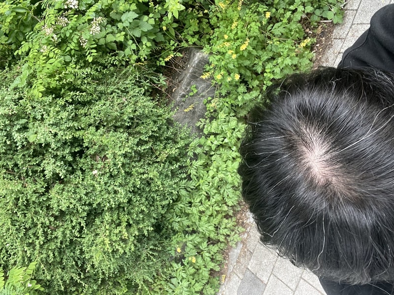 IMG_0466.jpeg
