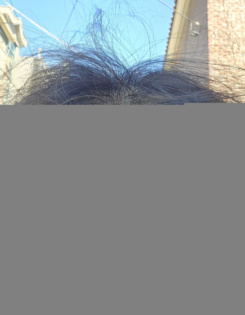 20241002_122944.jpg
