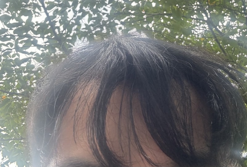 IMG_2319.jpeg