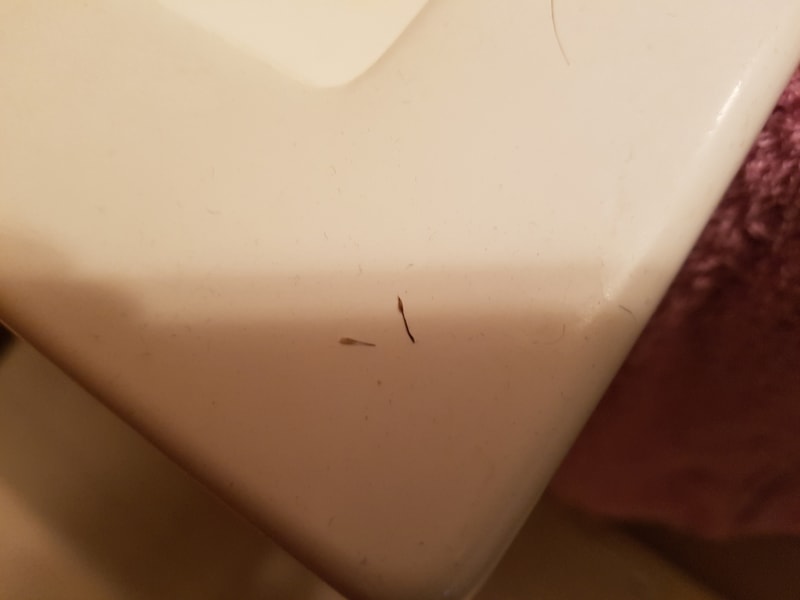 20171110_160923.jpg