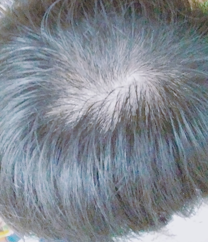 B612_20180623_100729_598-1.jpg