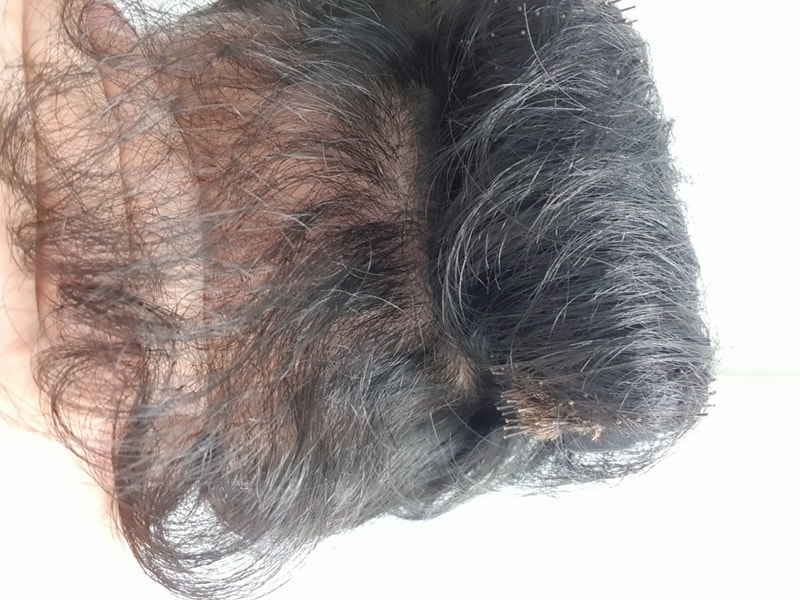 20200827_160539.jpg