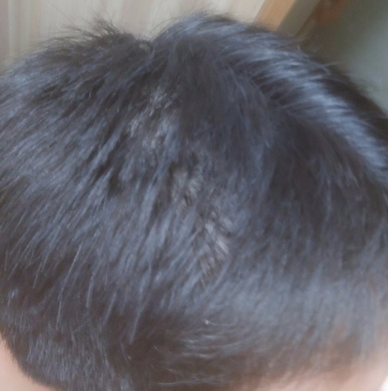 1630677444976-0.jpg