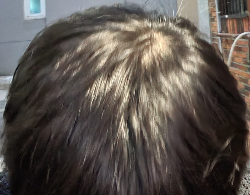 20230110_174342.jpg