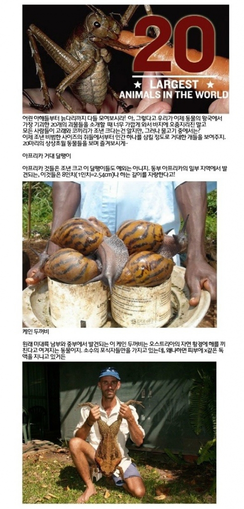 거대_01.jpg