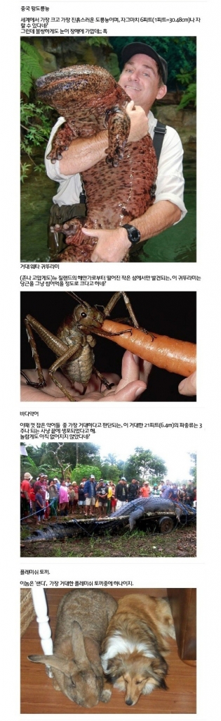 거대_02.jpg