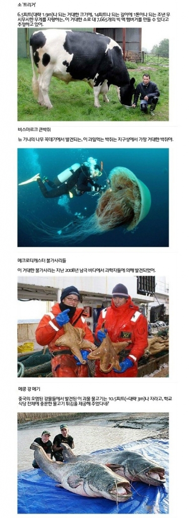 거대_05.jpg