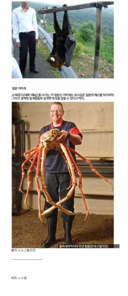 거대_06.jpg