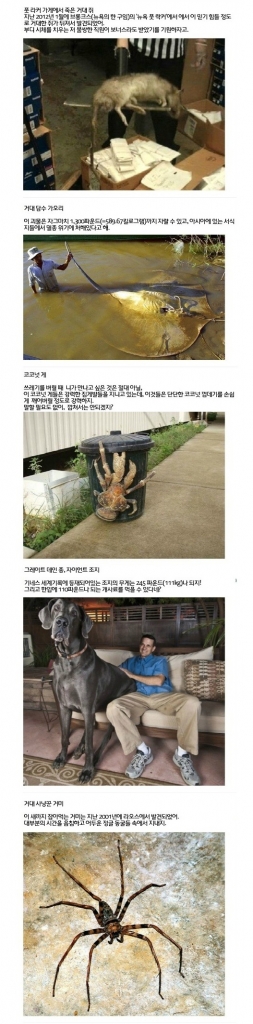 거대_03.jpg