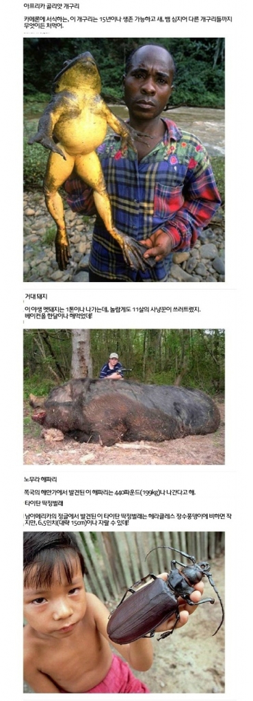 거대_04.jpg
