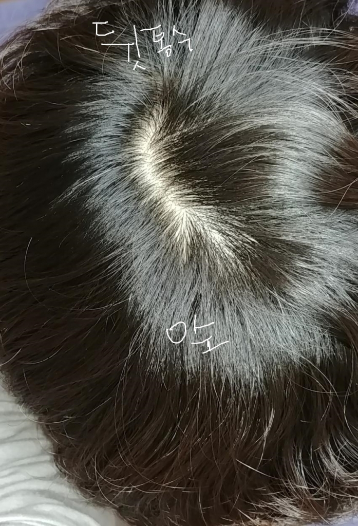 1509829754.jpg