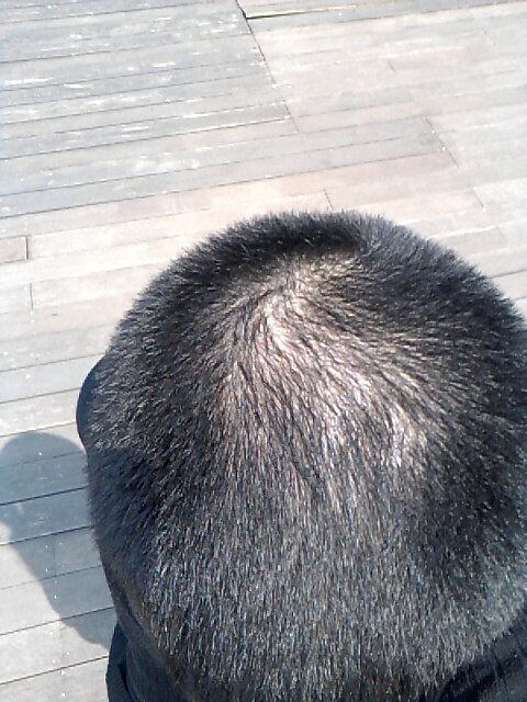 p_20140407_122437973.jpg