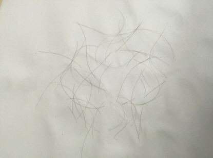 포맷변환_크기변환_image (2).png