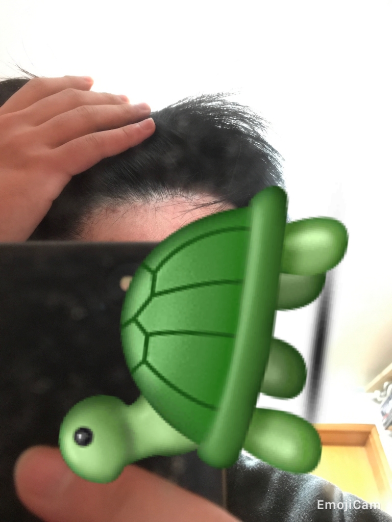 1년전
