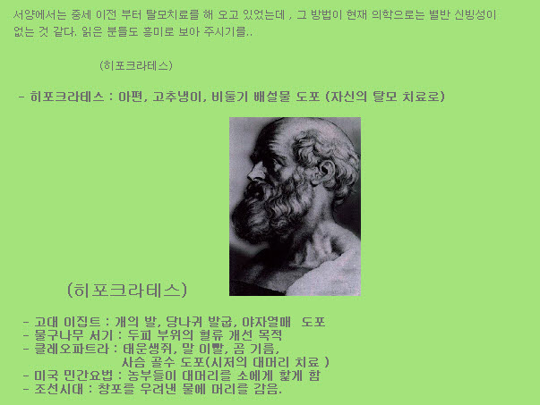 탈모역사.jpg