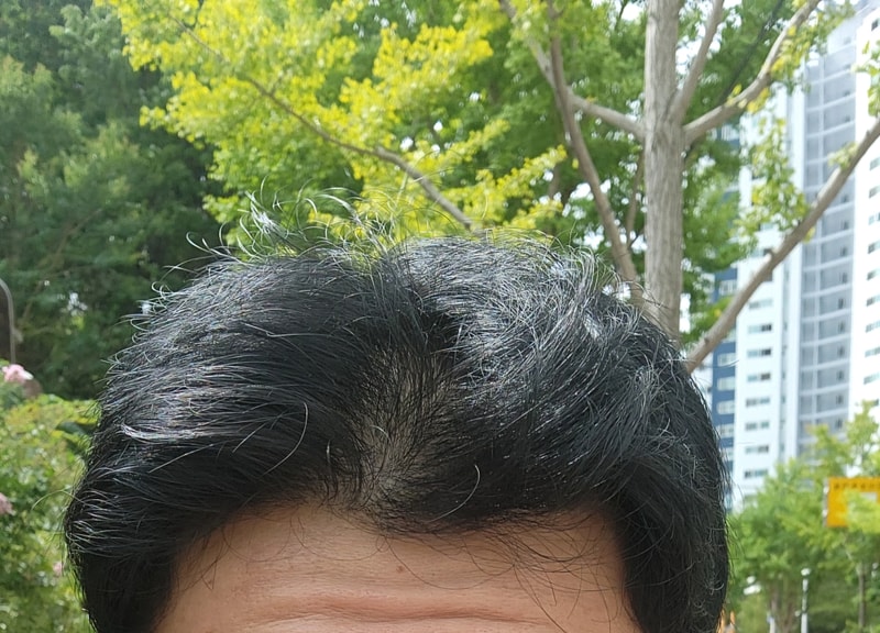 선생님들 질문있습니다!