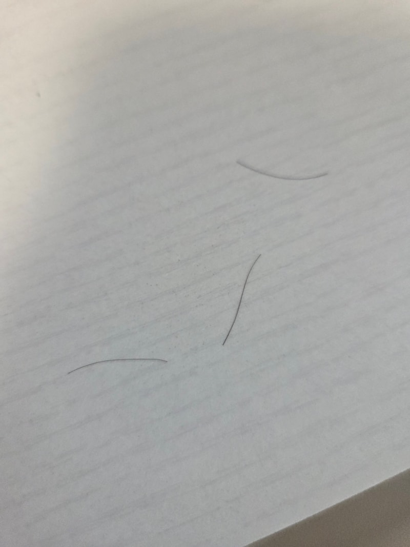 1000010870.jpg
