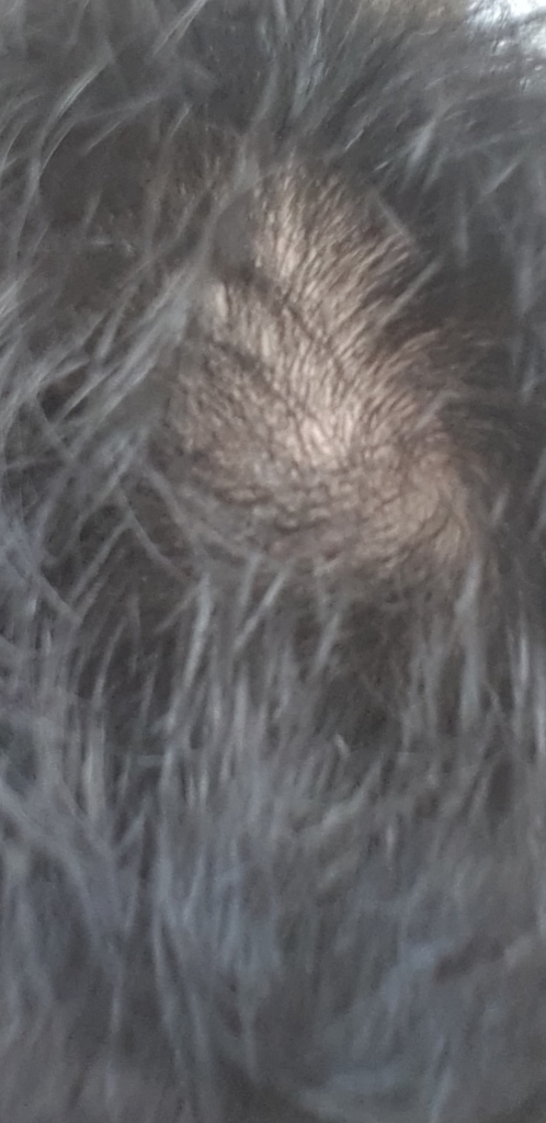 Screenshot_20180511-124439.jpg