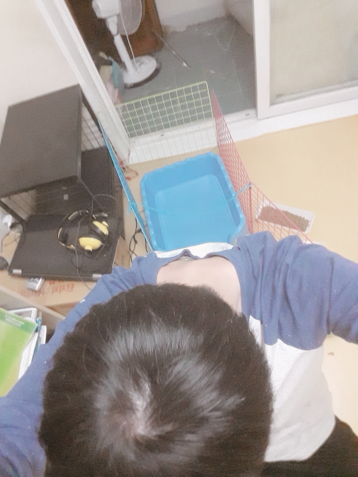 20180504_202915_400.jpg