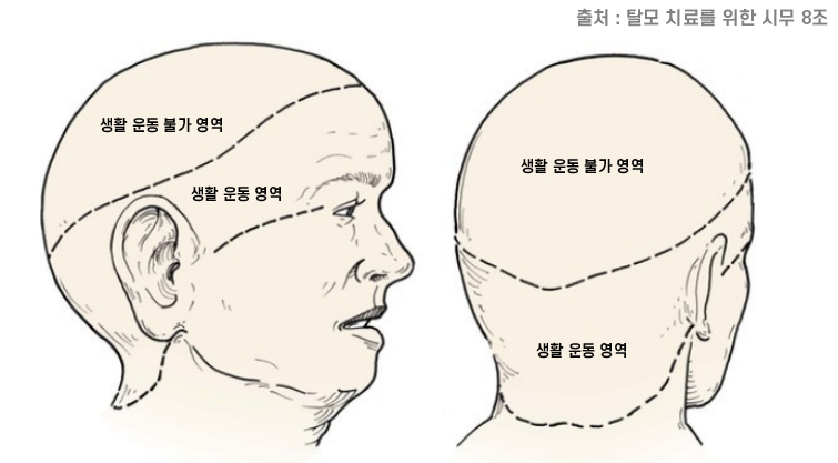그림1.png