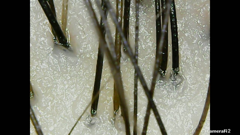 200913_081129.jpg