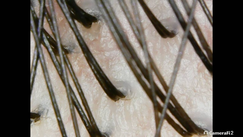 200913_081035.jpg
