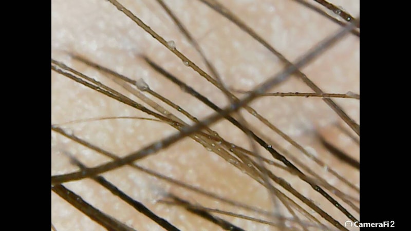 200913_080900.jpg