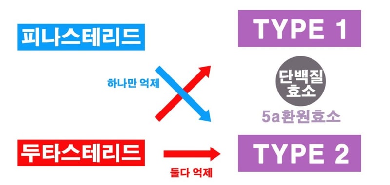다운로드파일.jpg