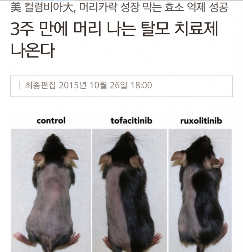 hu_1446023211_5642475067.png