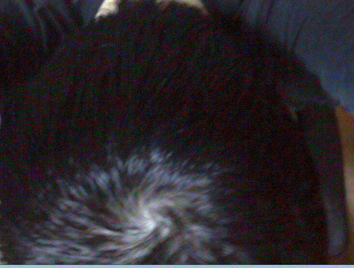 c3.GIF