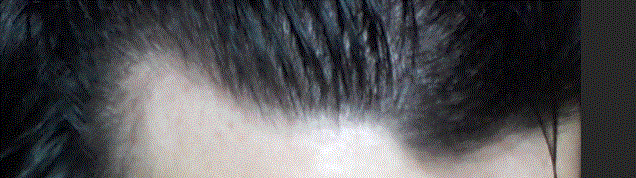 d5.GIF