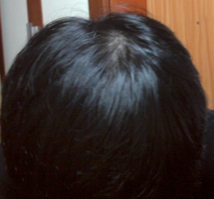 6.GIF