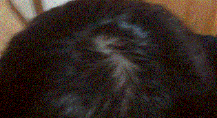 4.GIF