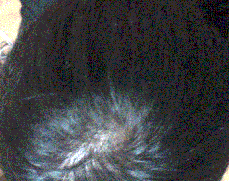 16.GIF