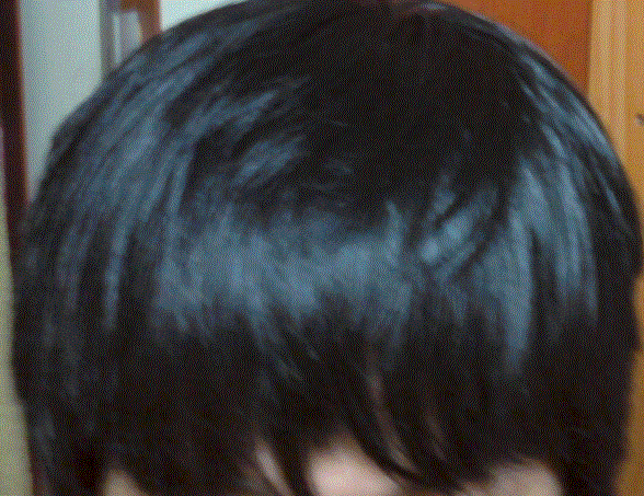 2.GIF