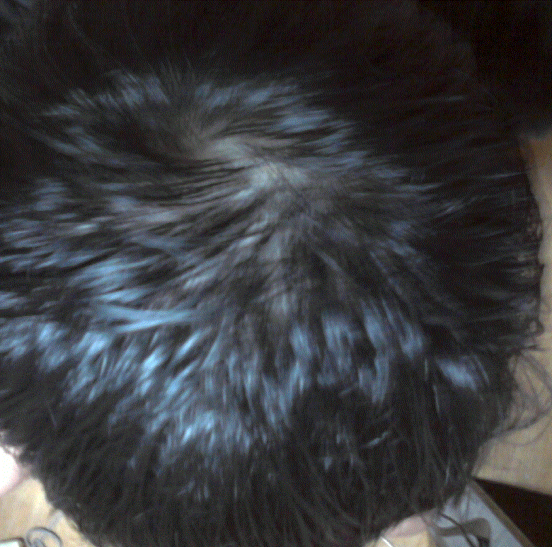 c6.GIF